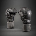 Guantes de sparring MMA Venum Impact Evo Scales - Gris oscuro